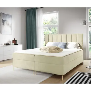 GUTTO Boxspringbett 200x200cm Beige Velour Samt goldene Beine Ehebett Polsterbett aus Samt - Beige