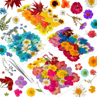 191 STÜCKE Echte Getrocknete Gepresste Blumen für Harzformen, Trockenpressen-Blumen-Set für die Herstellung von DIY-Schmuck, Nagelkarten, Scrapbook-Kunsthandwerk und Dekorationen