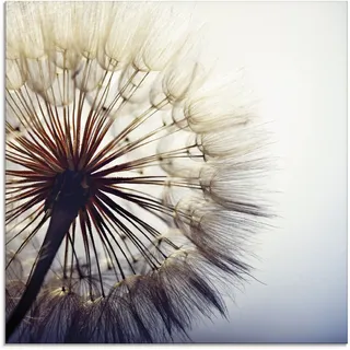 ARTland Glasbild »Große Pusteblume«, Blumen, (1 St.), in verschiedenen Größen, blau