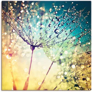 Artland Wandbild "Pusteblume Zaubertropfen" Blumen 1 Stk. tlg. als Alubild, Leinwandbild, Poster in verschied. Größen, farbe bild(er): bunt