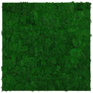 Jangal Akustikpaneel , Grün , Naturmaterialien , 52x52x4 cm , Handmade Quality , Bilder & Rahmen, Moosbilder