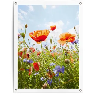 Poster REINDERS "Blumenfeld", bunt (farbe bild(er): bunt), B:60cm H:80cm T:0,1cm, Leinwand, Bilder, Poster, Outdoor für Garten oder Balkon