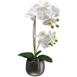 P & B Kunstpflanze , Grün, Weiß, Dunkelgrau , Kunststoff , 48 cm , inkl. Topf , Dekoration, Blumen & Blumentöpfe, Kunstpflanzen