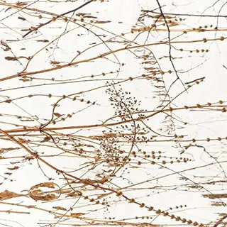 Homemania Life of The Dots-Übergangsmatte, rutschfest, für Flur, Küche, Schlafzimmer, Wohnzimmer, Mehrfarbig aus Polyester, Baumwolle, 80 x 200 cm