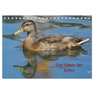 Das Leben der Enten (Tischkalender 2026 DIN A5 quer), CALVENDO Monatskalender: Ein besonderer Entenkalender (CALVENDO Tiere)