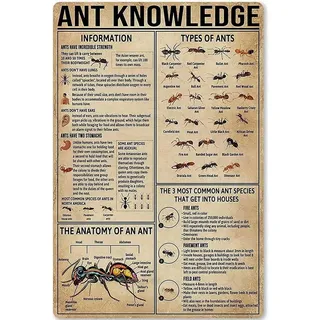 Ameisenwissen Metall-Blechschild Arten von Ameisen, Retro-Poster, Schule, Bildung, Wohnzimmer, Küche, Badezimmer, Zuhause, Kunst, Wanddekoration, Schild, Geschenk