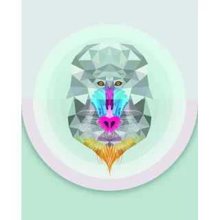 KOMAR Wandbild Baboon 40 x 50 cm