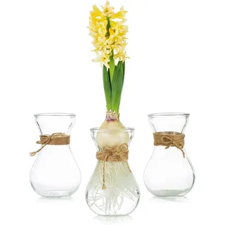 Glasseam Kleine Glasvasen für Blumen mit Schnurseil, 3er Blumenvasen Glas | Klar Hyazinthenvase für Pflanzen, Kristallknospenvasen Kreativ, Tischdeko, Zuhause, Küche, Gartenbalkon Dekoration