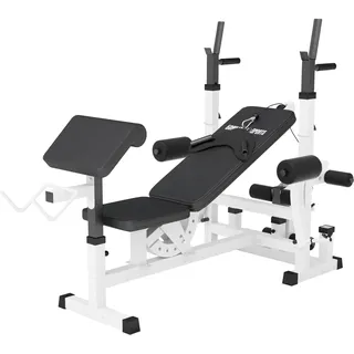 GORILLA SPORTS® Multifunktion Hantelbank, verstellbar, mit Ablage | Mit Curlpult, Butterfly, Dip-Station, Beincurler und 6-fach verstellbarer Rückenlehne; Trainingsbank und Kraftstation