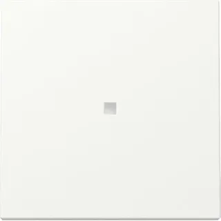 Gira Flächenschalter 329027