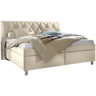 Esposa Polsterbett , Beige , Textil , Birke , Schichtholz , H2 , Höhe ca. 16 cm , 160x200 cm , Über- und Sondergrößen erhältlich, Bezug abnehmbar/waschbar, Ober- und Unterseite versteppt, wendbar, atmungsaktiv,Über- und Sondergrößen erhältlich, Lattenrost, Matratze, gepolstertes Kopfteil, Stoffauswahl, motorische Verstellung des Lattenrostes, in verschiedenen Größen erhältlich,Federholzleisten verleimt, Federleisten mit Duokappen, verstellbar, Motorverstellung , Schlafzimmer, Betten, Polsterbetten