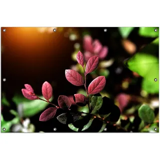 Wallario Outdoor-Poster für Garten oder Balkon, Motiv Rote und grüne Blätter an einem Zweig, in ca. 100 x 150 cm - Schwarz