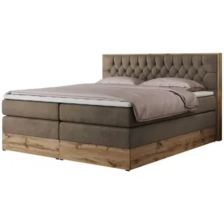 MKS Meble King Boxspringbett 200x200 mit Bettkasten Eiche, Polsterbett 200x200 mit Matratze H3, Bett 200x200 mit Kopfteil, Bett mit Holzrahmen in Wotan Eiche - Braun Velvet - Amore King - Braun