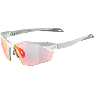 Alpina Twist Six S HR QV 1-3 Sportbrille (Größe One Size, grau)