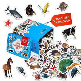 Magdum 110 Set Magnete Kinder für magnettafel Bauernhof+ Zoo+ Waldtiere+ Vögel+ Meerestiere Foto - Magnet Spielzeug Kinder - Kühlschrankmagnete Kinder -Spielzeug ab 3 Jahre - Lernspiele ab 3 Jahre