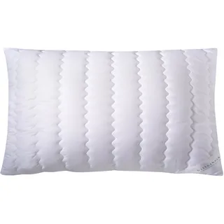 billerbeck Kopfkissen S20 40 x 80 cm Weiß