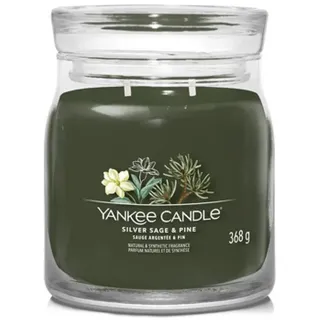 Yankee Candle Silver Sage & Pine Duftkerze 368 g grün