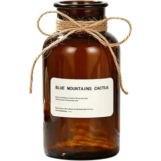 Upstore 1Stück 500ml bernsteinfarbene Glasvase Knospenvasen Apothekergläser dekorative Glasflaschen Vintage-Stil kleine Blumenvasen mit kreativem Seil-Design für Heimdekoration Tischdekoration Hochzeit Party