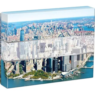 GALISON Doppelseitiges Puzzle Gray Malin: New York City 500 Teile