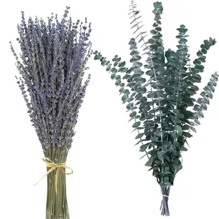 Trockenblumen Deko Set,Natürliche Lavendel Getrocknet& Eukalyptus Getrocknet Getrocknet Blumen Dried Flowers Pflanzen Blumenstrauß Boho Deko für Wohnzimmer Home Hochzeit Vasen Tischdeko