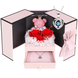 ADDWel Ewige Rose mit 925 Sterling Silber Herz Halskette - Echte Konservierte Infinity Rose Box, Romantisches Geschenk für Frauen, Freundin & Mama zum Valentinstag, Weihnachten, Geburtstag & Jahrestag