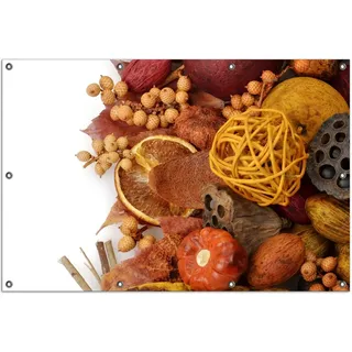 Wallario Outdoor-Poster für Garten oder Balkon, Motiv Herbststimmung - Trockenfrüchte, Nüsse und Samen - Herbstdeko, in ca. 100 x 150 cm - Weiß