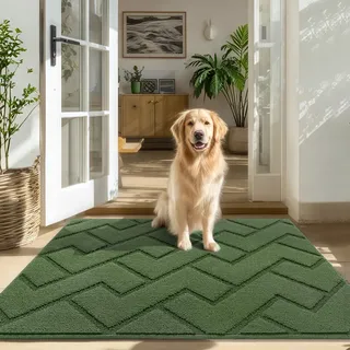Biscpro Fußmatte Innen Außen 80x100cm,Schmutzfangmatte rutschfest Fussmatte Innen Waschbar Eingangsteppich Innen Fussmatten Haustür dünn Innen für Eingang, Flur, Garten, Innen, Haustier- Grün