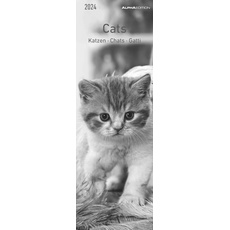 Katzen 2024 - Lesezeichenkalender 5,5x16,5 cm - Cats - Tierkalender - Lesehilfe - Alpha Edition
