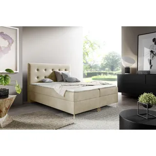 GUTTO Boxspringbett LOUI 120 x 200cm 2x Bettkasten TOPPER 5cm Gratis Beige Velour hohe goldene Beine - Beige