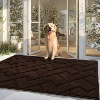 Biscpro Fußmatte Schmutzfangmatte Innen Außen Waschbar Eingangsteppich innen rutschfest,Türmatte Innen Teppich für Eingang, Patio, Flur, Garten, Innen und Außen (Coffee, 90 x 150 cm)