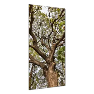 Wallario selbstklebende Duschrückwand 90 x 180 cm mit Motiv Weit verzweigter Baum mit Palmen - Ansicht aus der Froschperspektive - Wandverkleidung mit Hochglanzlaminat in Glasoptik