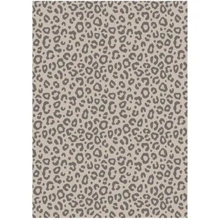 Ross "Leo-Muster 3er-Pack", anthrazit, beige,