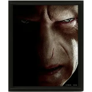 Pyramid International Europe Harry Potter 3D Lenticular Poster (Harry vs Voldemort) 25cm x 20cm x 1.3cm im Rahmen - Offizielles Lizenzprodukt