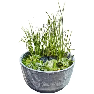 HEISSNER Aquatopia Solar-Wassergarten