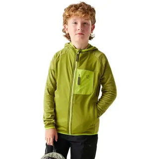 Dare2b Expedition Jacke - Golden Cypress - 3-4 Jahre