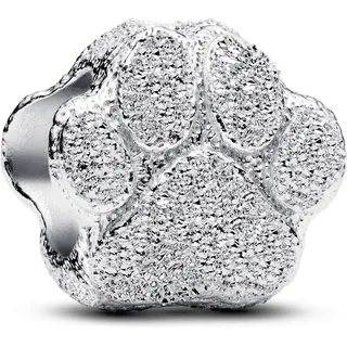 Pandora Strukturierte Pfote Silber 794043C00