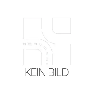 NTY Spritzblech Bremsscheibe für MITSUBISHI ASX (GAW) Hinten Links Hinten Rechts HTO-MS-004 Ankerblech