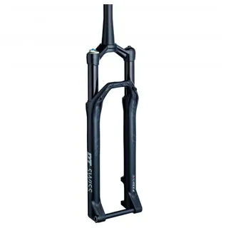 DT Swiss F 232 One 29 Zoll 120 mm Schwarz