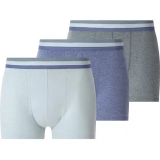 Retro Pants JAN VANDERSTORM "3er Pack Retropants ROLFLUND", Herren, Gr. L-XL, blau, Obermaterial: 60% Baumwolle CO. 40% Polyester COOLMAX PES(Coolmax)., Unterhosen Retro Pants