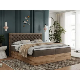 MKS Meble Boxspringbett, Deko, Doppelbett, Polsterbett mit Bettkästen und Multipocket-Matratze, Eiche Wotan holzrahmen - Albero-3 - 200x200cm - Braun Velvet... - Braun