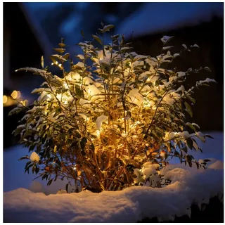 esotec Solar Lichterkette 6 m 60 LEDs 3000K Schwarz