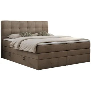 MKS Meble Boxspringbett mit Kopfteil und Topper, Polsterbett - LUKA-KING - 140x200cm - Braun - H4 - Braun