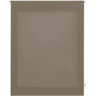 interblind | Premium-Rollo transparent, glatt, 140 x 250 cm (Breite x Höhe), lichtdurchlässig, Stoffmaß 137 x 245 cm, einfarbig, lichtdurchlässig, Grau