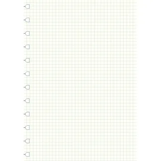 Filofax Notizbuch A4 kariert Weiß