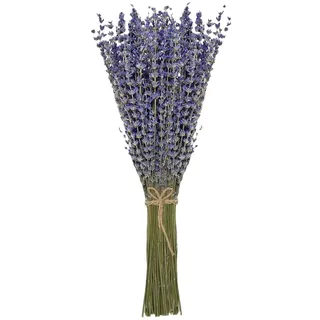 Lavendel getrocknet Bund 100Stängel 42 cm lang Lavendelblüten aus der Provence Lavendelbund Trockenblumen Trockenblumenstrauß