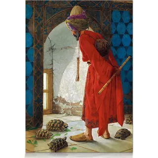 STAR Puzzle Schildkrötentrainer 1000 Teile