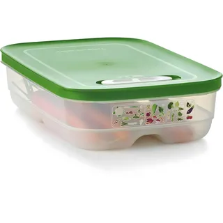 TUPPERWARE Kühlschrank 1,8 L dunkelgrün KlimaOase flach PrimaKlima Klimakönig