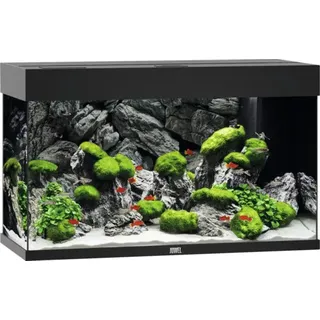 Aquarium JUWEL Rio 125 mit LED-Beleuchtung, Pumpe, Filter, Heizer ohne Unterschrank schwarz - Silber