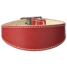 BBD Pet Products Hundehalsband, italienisches Grau, Einheitsgröße, 1,27 x 25,4 bis 30,5 cm, Rot