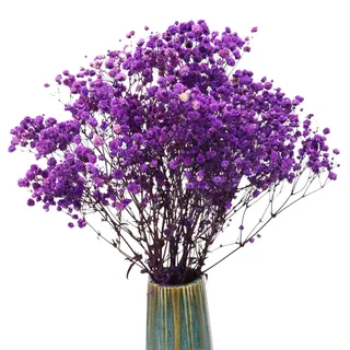 TooGet Violett natürliche getrocknete Blumen Babys Atem Bouquet Gypsophila Zweige für Home Decor, Hochzeit, Tischdekoration, DIY Kranz Blumen, trockene Blumen Bulk für Vase